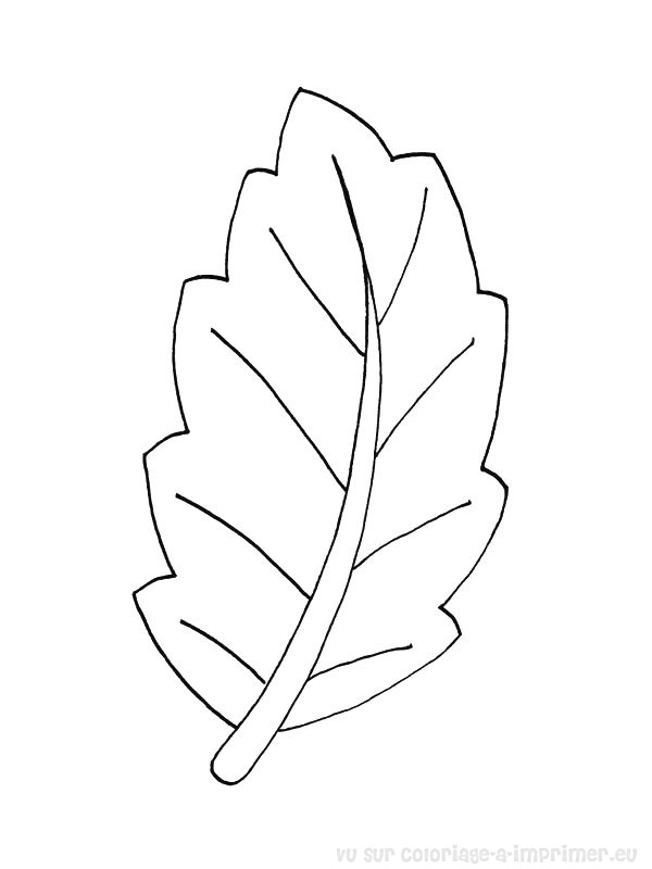 coloriage à dessiner feuille lierre