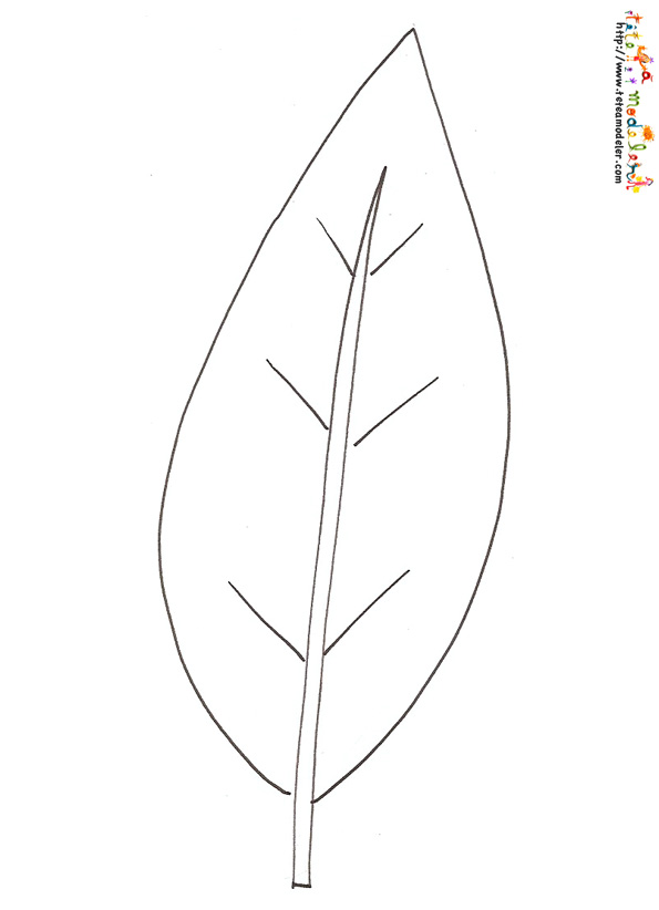 dessin dune feuille simple