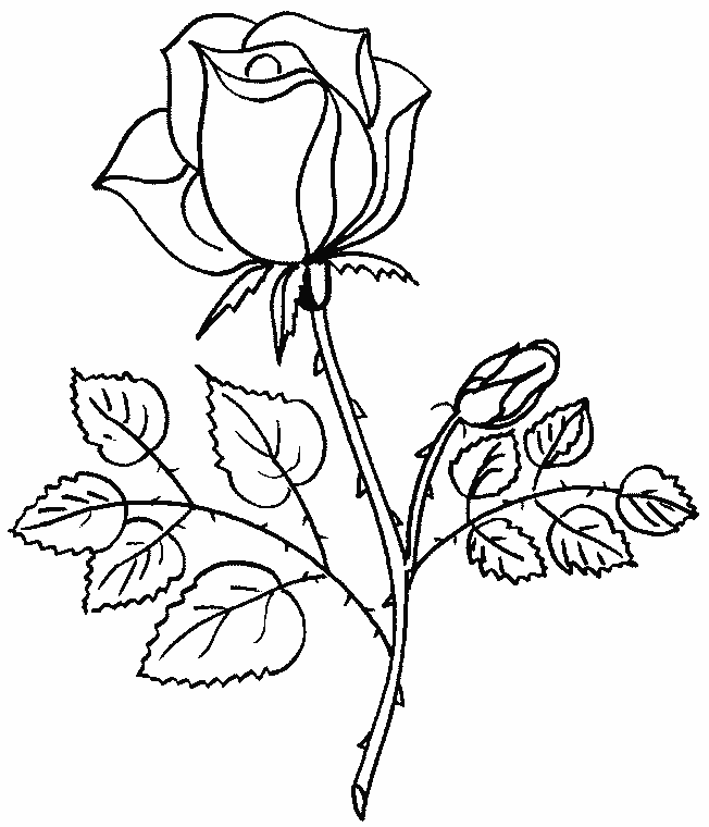 coloriage fleur coeur