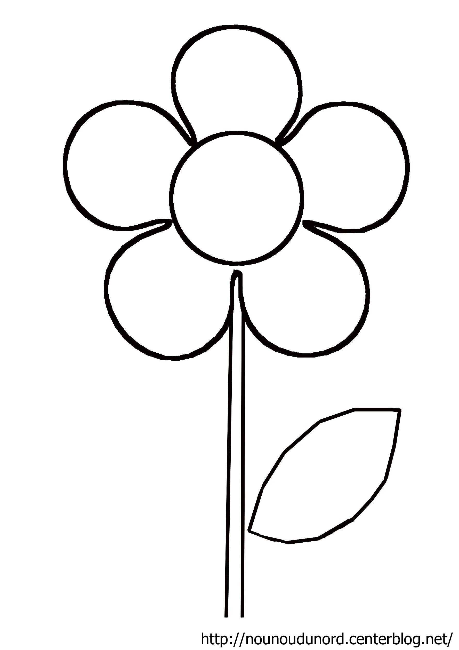 coloriage fleur de lotus