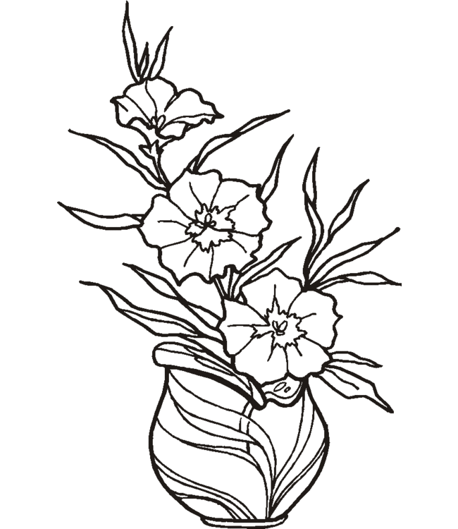 coloriage fleur hawaienne