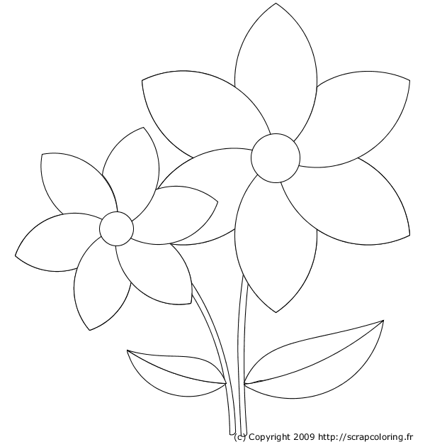 dessin fleur de lys royale