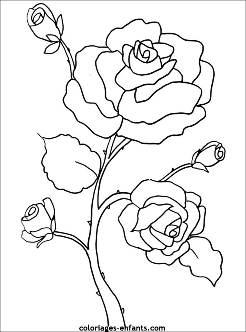 coloriage à dessiner frise fleurs