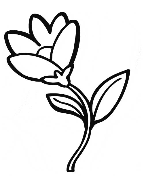 fleurs dessin coloriage