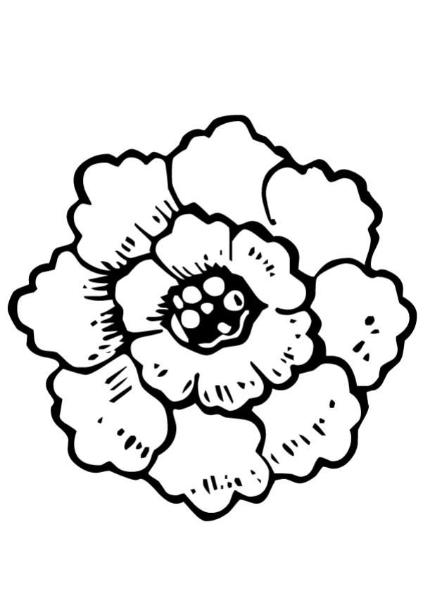 dessin fleur de lotus a imprimer
