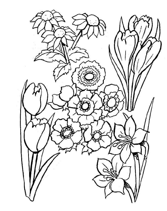 dessin à colorier les fleurs du printemps