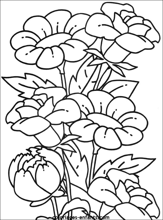 coloriage fleurs d'automne