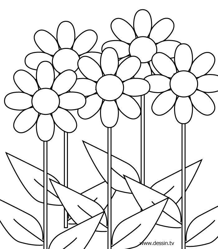 115 Dessins De Coloriage Fleur A Imprimer