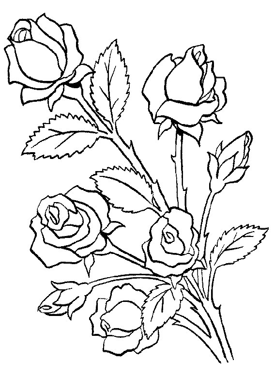 coloriage fleur de vie