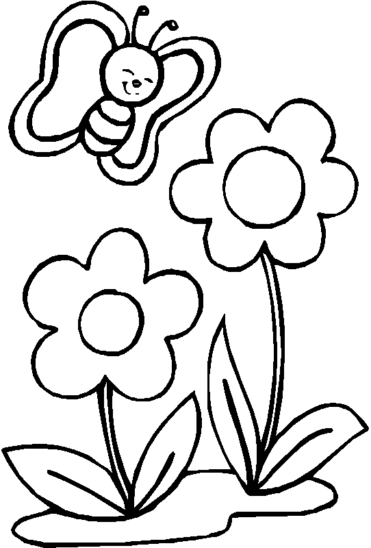 coloriage fleur de lotus