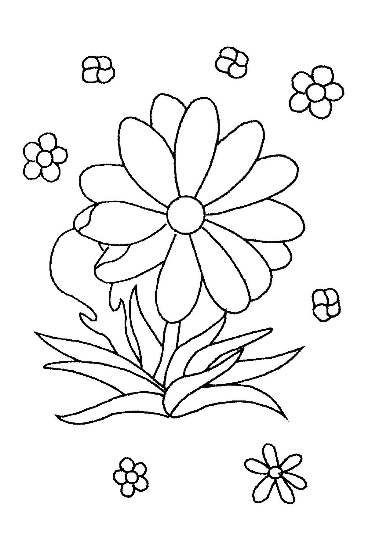 coloriage à dessiner fleur hibiscus