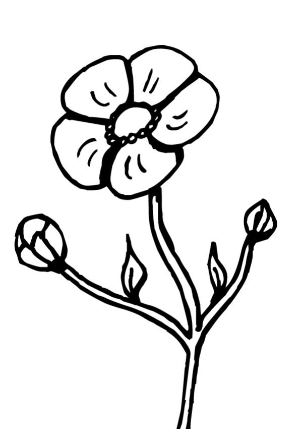 Dessin fleurs pour tout petit