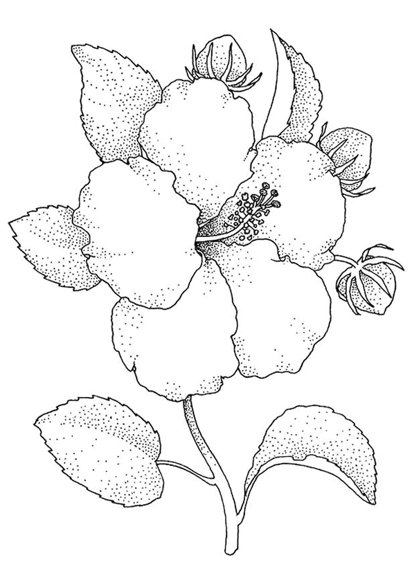 coloriage à dessiner fleur de lys royale
