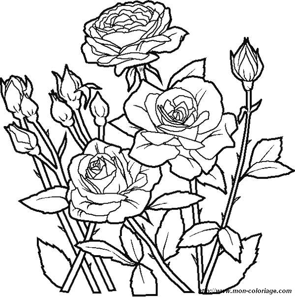 coloriage fleur en ligne gratuit