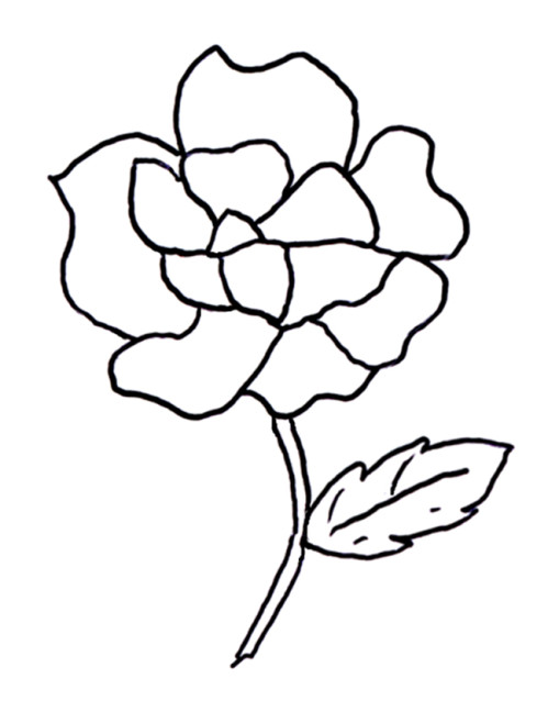 coloriage fleur en pot