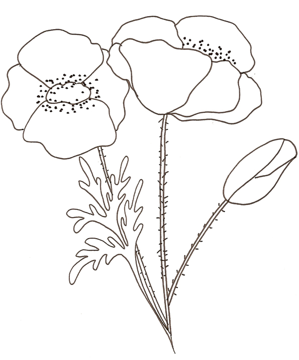 115 Dessins De Coloriage Fleur à Imprimer
