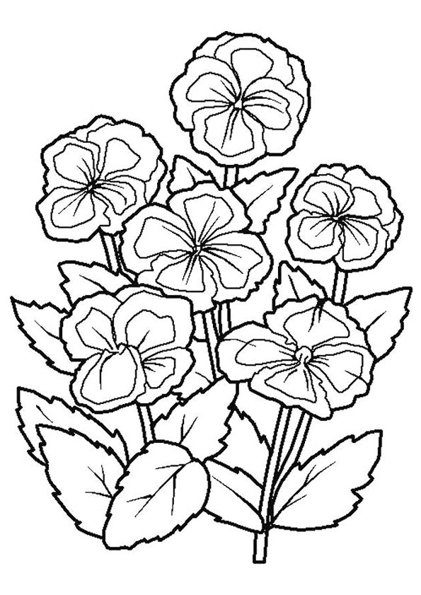 dessin à colorier fleur de tiaré