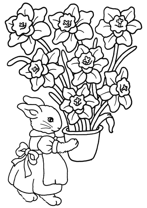 dessin fleur de tournesol