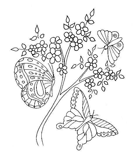 coloriage fleurs dete