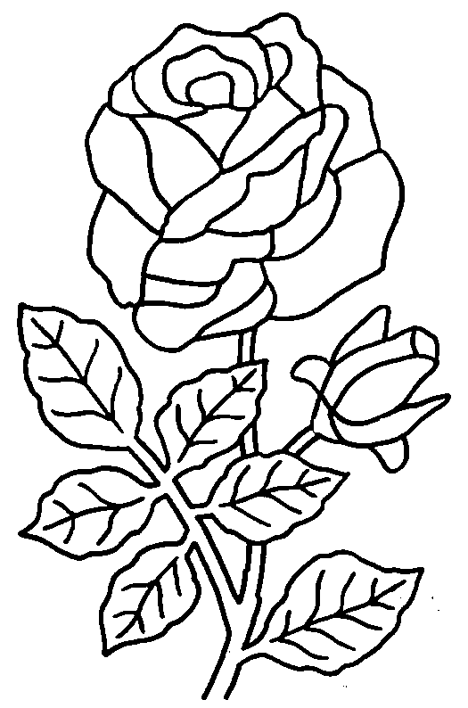 Coloriage Fleur TFOU - coloriage de fleurs à imprimer
