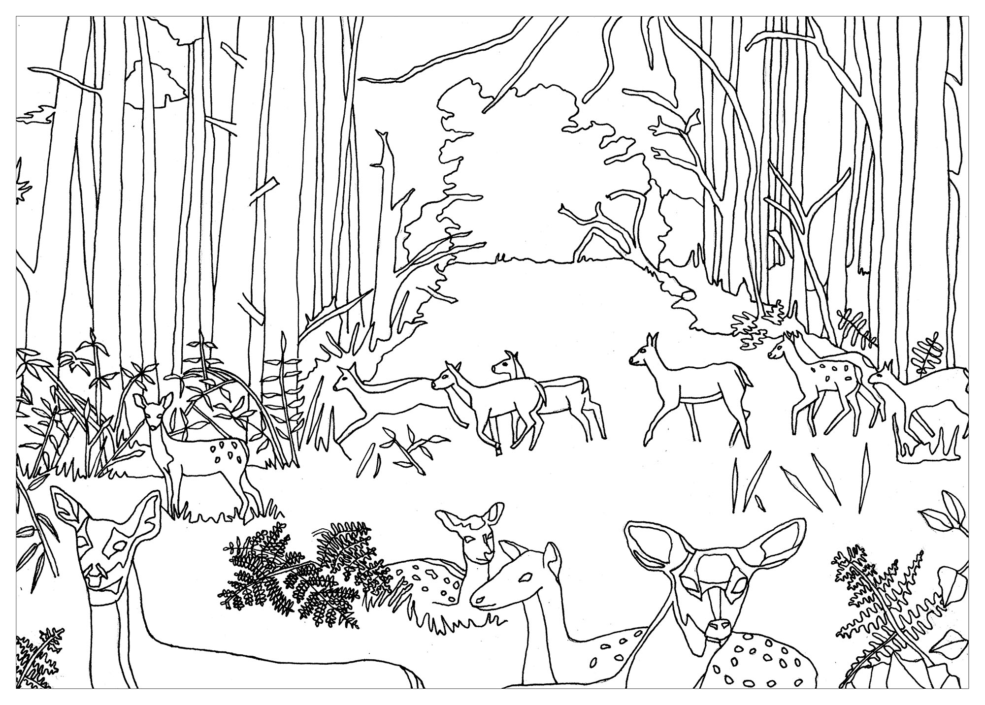 33 dessins de coloriage Forêt à imprimer