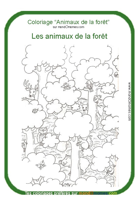 dessin à colorier art therapie foret feerique