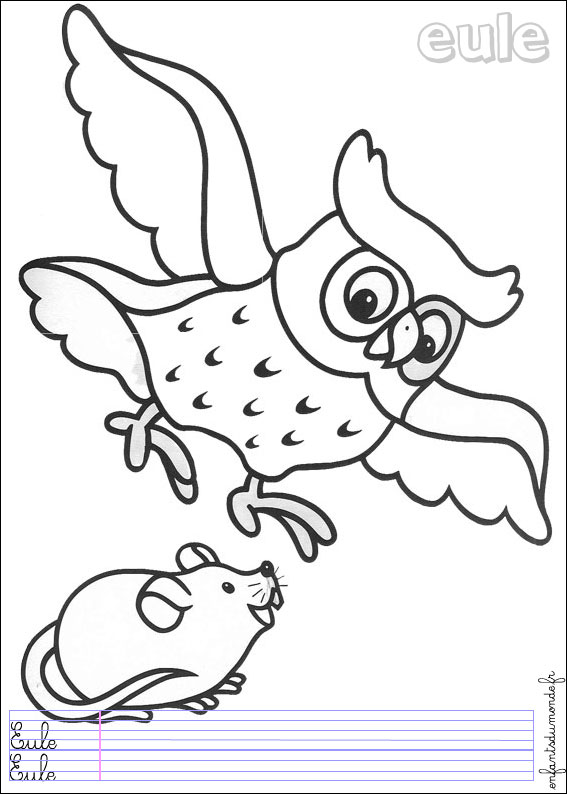 coloriage à dessiner animaux forêt maternelle