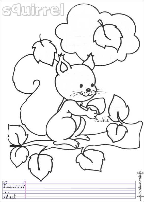 coloriage foret  imprimer gratuit