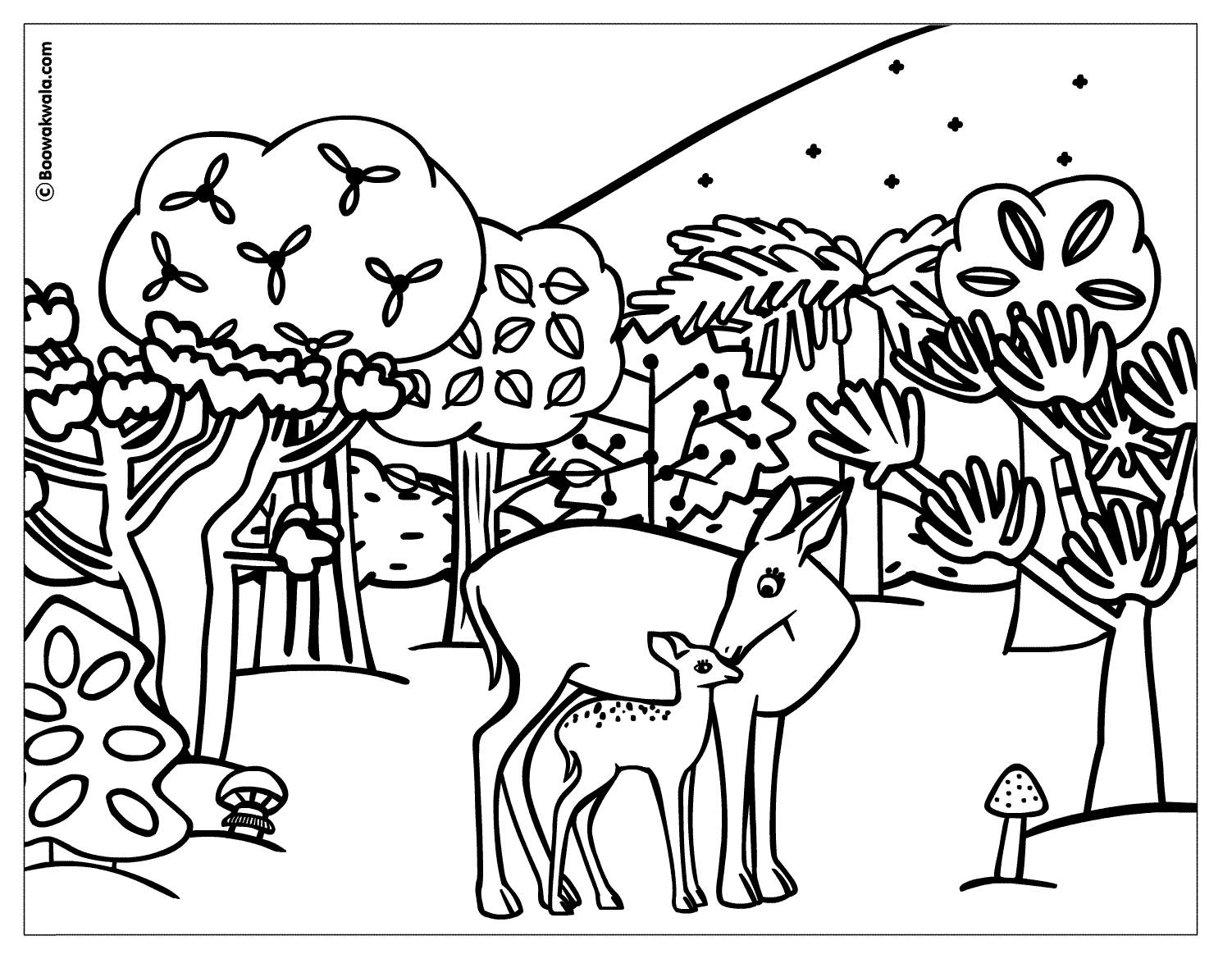 dessin foret et animaux