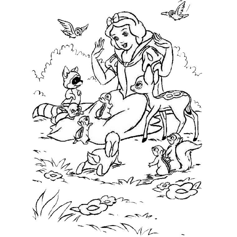 coloriage  dessiner foret  imprimer gratuit