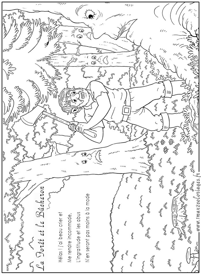 coloriage à dessiner foret d'automne