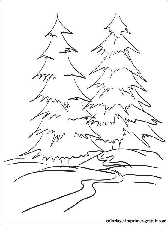 coloriage à dessiner paysage de foret