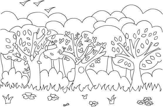 coloriage foret enchanté