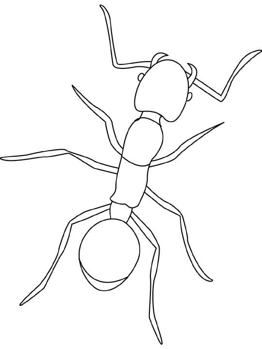 coloriage la fourmi et la cigale