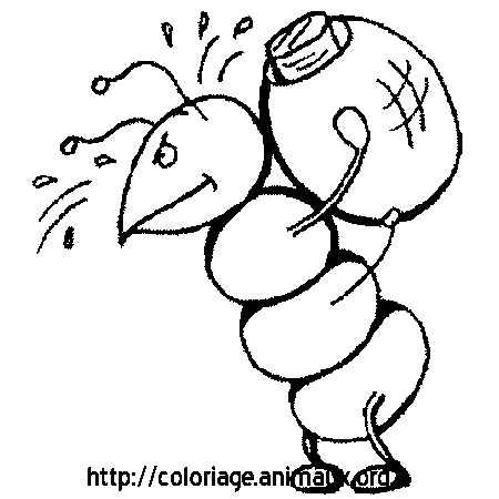 Coloriage A Dessiner Magique Fourmi Coloriage A Dessiner Magique Fourmi