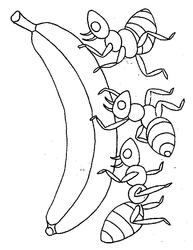 114 Dessins De Coloriage Fourmi A Imprimer