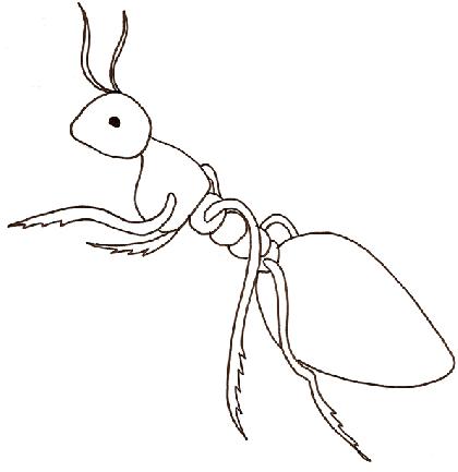 dessin à colorier fourmilier