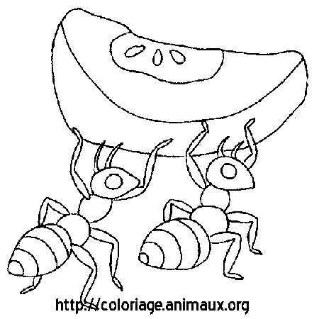 coloriage  dessiner lucas fourmi malgr lui
