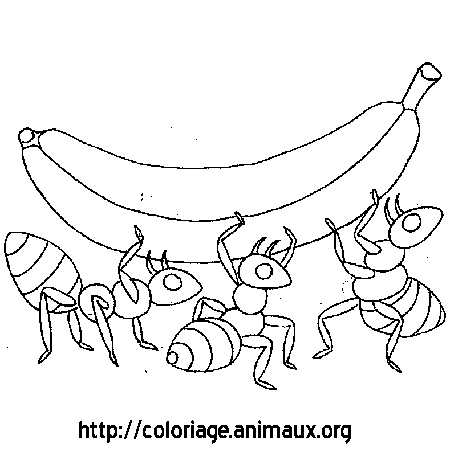 dessin à colorier la fourmi et la cigale