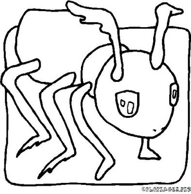 dessin lucas fourmi