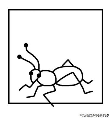dessin tamanoir et fourmi rouge