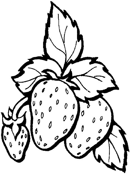 dessin de fruit a pain