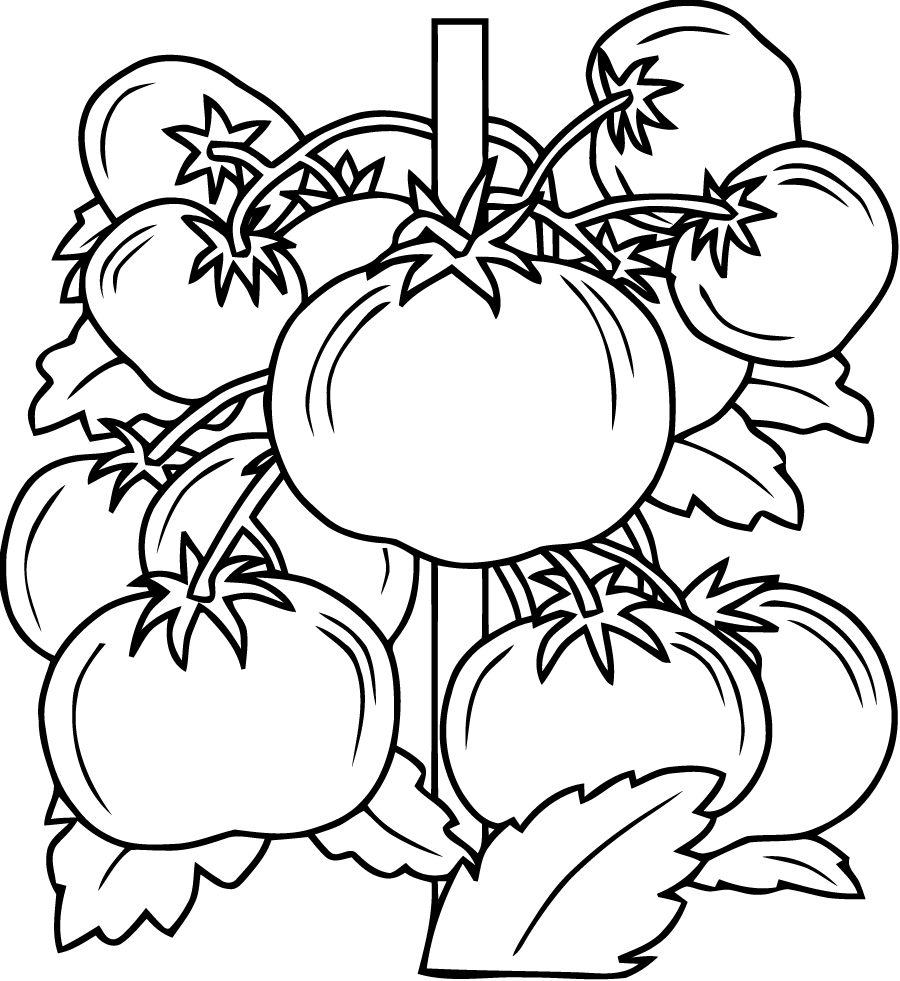dessin à colorier fruits pour maternelle
