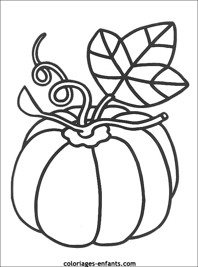 coloriage à dessiner fruits la chenille qui fait des trous