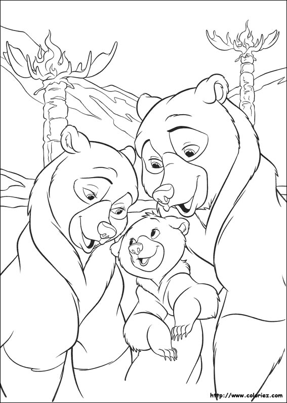 coloriage  dessiner frere des ours