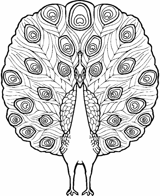 coloriage à dessiner de félins à imprimer