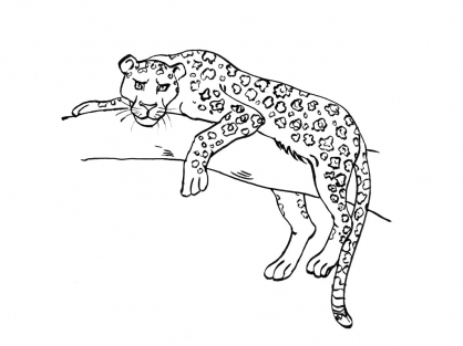 coloriage à dessiner à imprimer felins