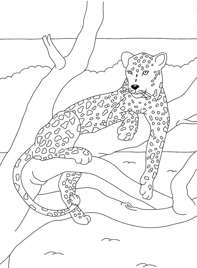 coloriage felin a imprimer