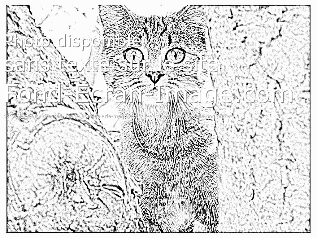 coloriage à dessiner de felins en ligne