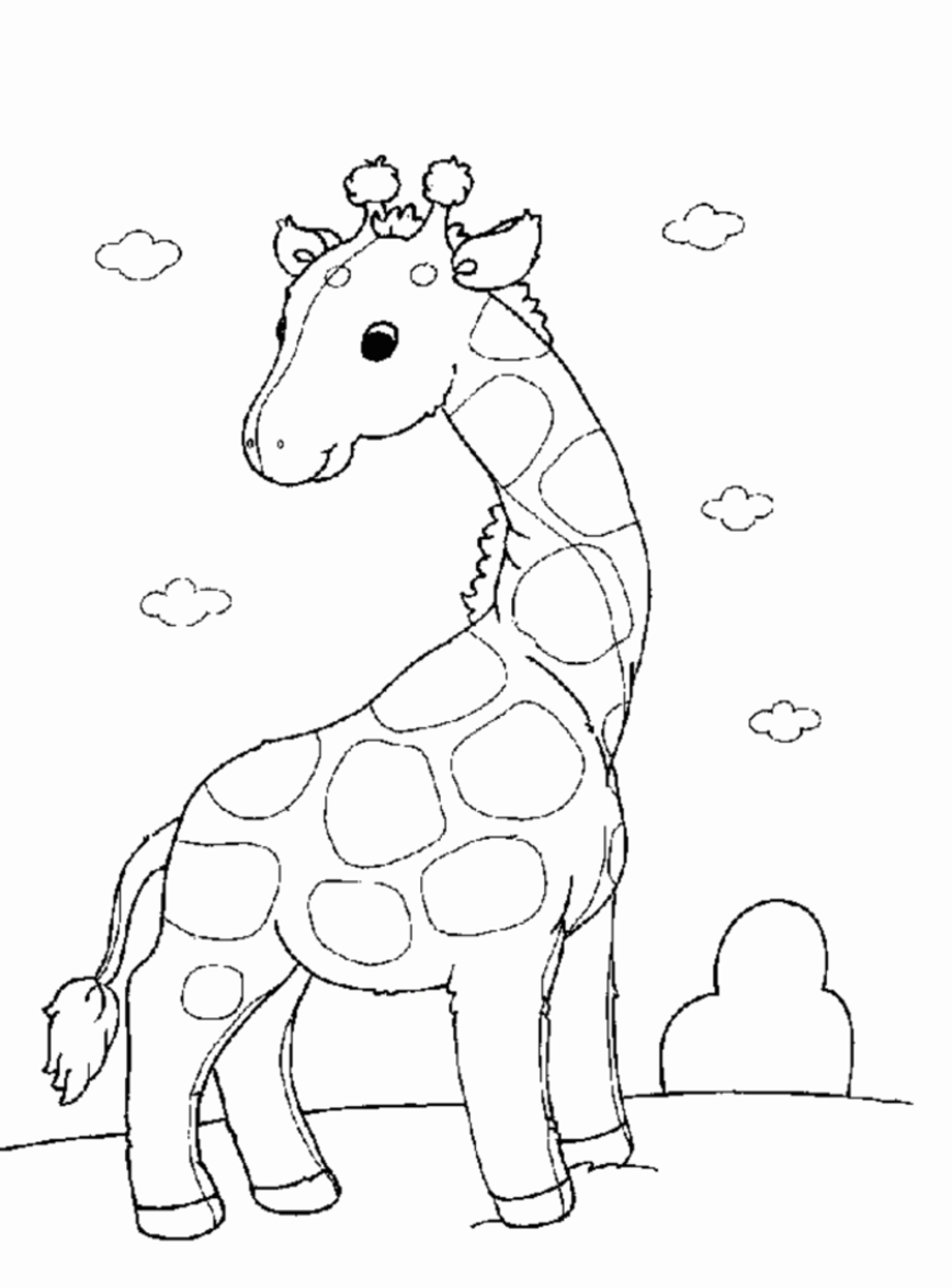 coloriage girafe